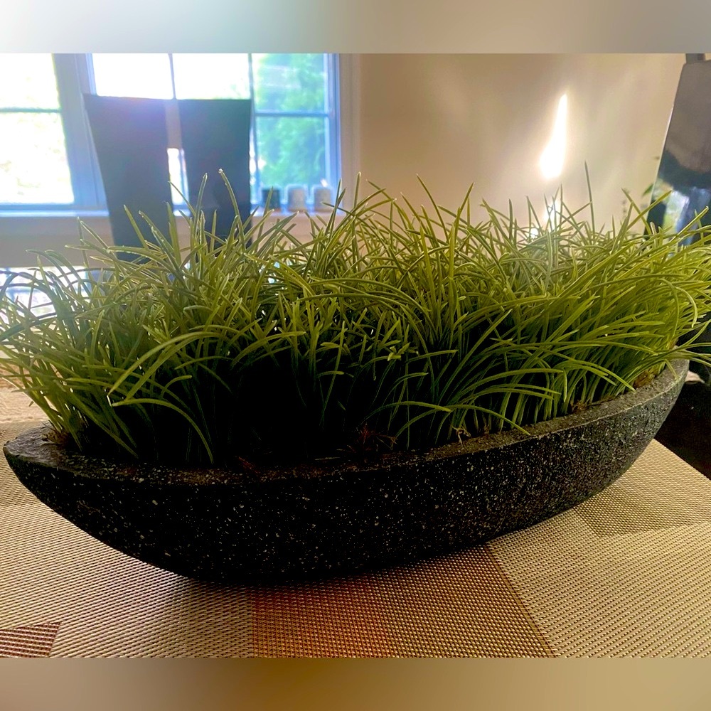 Pier1 Imports Potted Grass artificial .